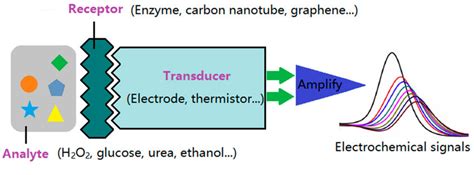 Electrolytic Sensor Method discount store|electrolytic sensor diagram.